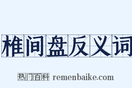 椎间盘反义词是什么意思的图片